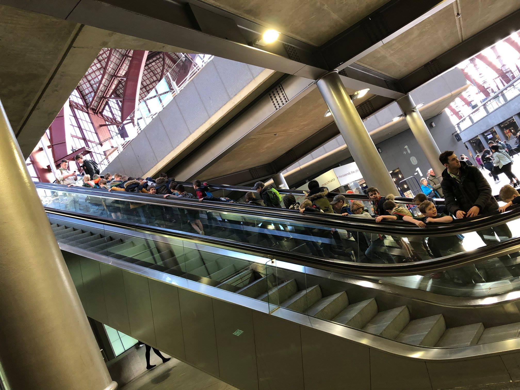 Sint-Martinus den XIIde - Zoo Antwerpen Kapoenen